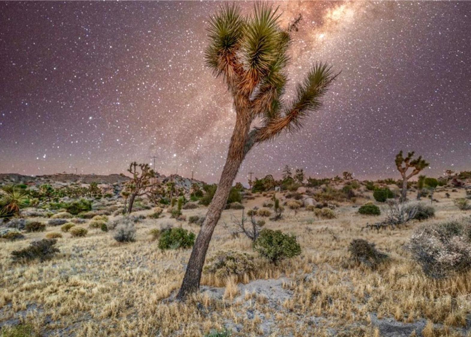 Holiday home Twin Palms Desert Getaway - Jacuzzi, Fire Pit, Meditation & Joshua Tree